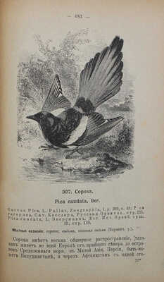 Мензбир М.А. Птицы России. 2-е изд., с прибавлением ст. «О пользе и вреде птиц». В 2 т. Т. 1−2. М., 1895